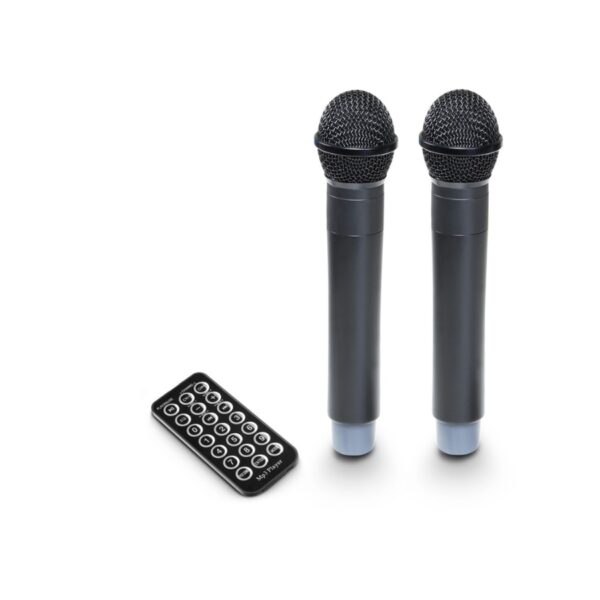 LD Systems - ROADBUDDY 10 HHD