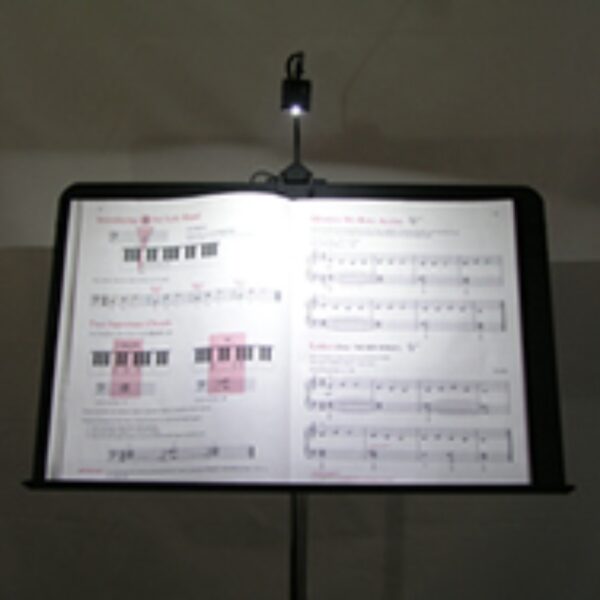 Q-LIGHTING - Maestro