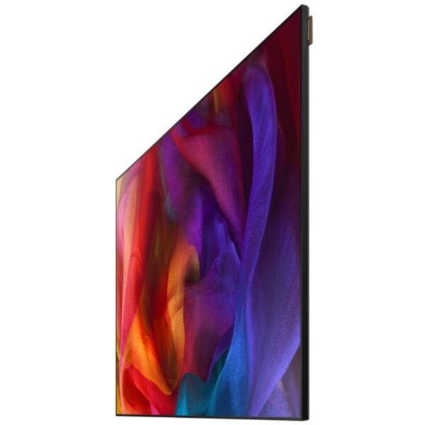 SAMSUNG - UE55D